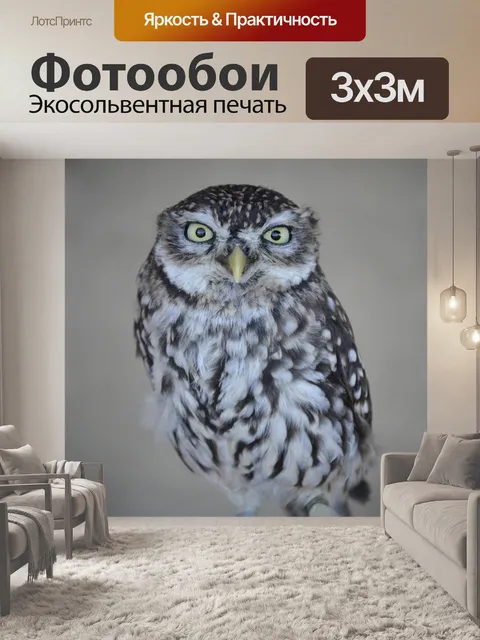 Фотообои Карлик ооо