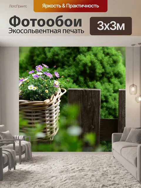 Фотообои Ромашки
