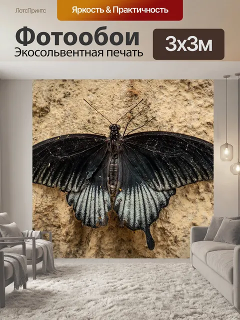 Фотообои Сад бабочек бенальмадена