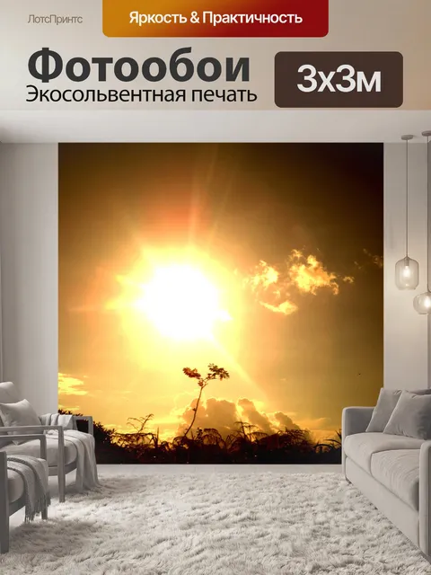 Фотообои Смазливая ВС заката