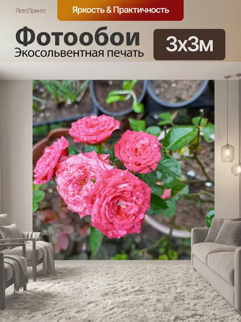 Фотообои маленькие розовые розы