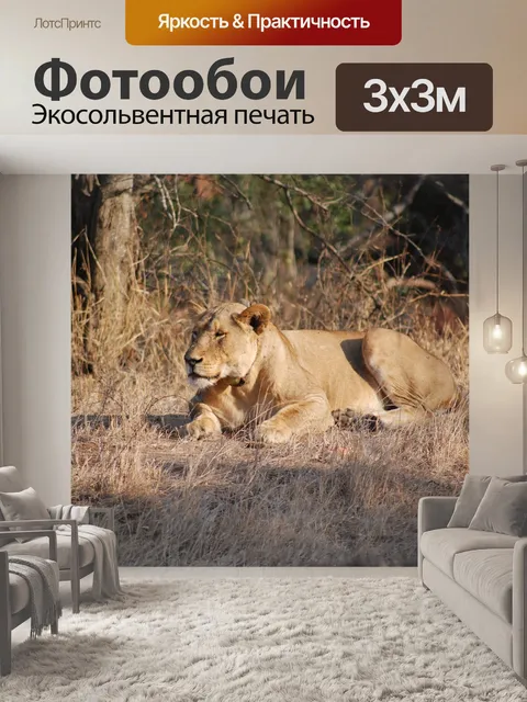 Фотообои Львица