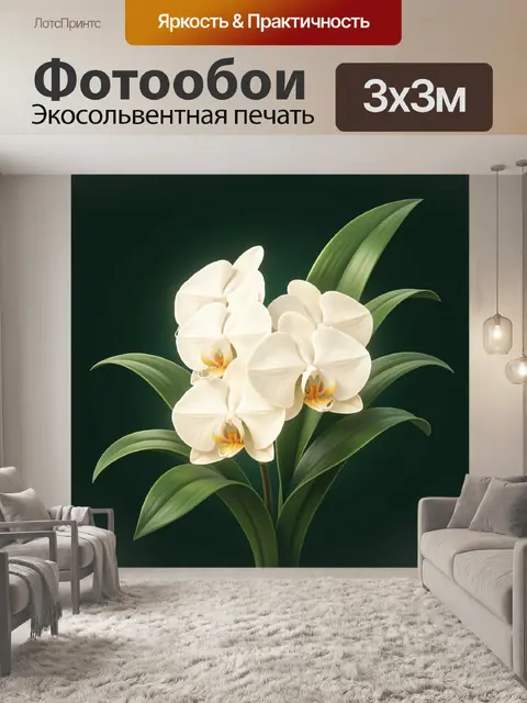 Фотообои Белые орхидеи на темно-зеленом фоне