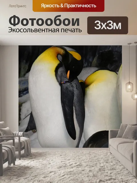Фотообои Пингвины