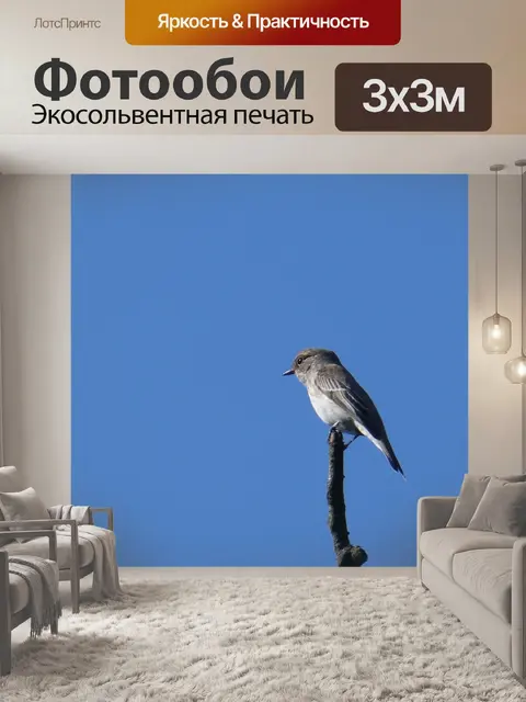 Фотообои Птица