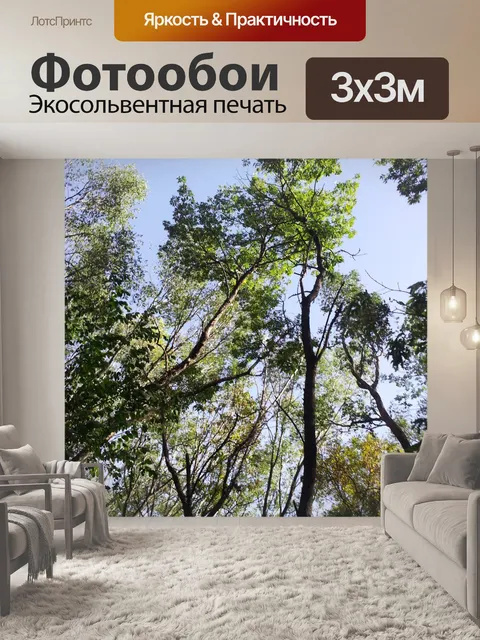 Фотообои Деревья