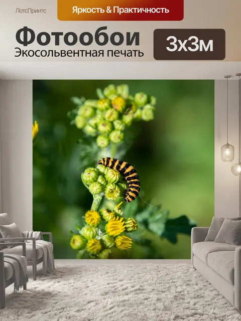 Фотообои Гусеница, насекомое, желто-слабые полосы