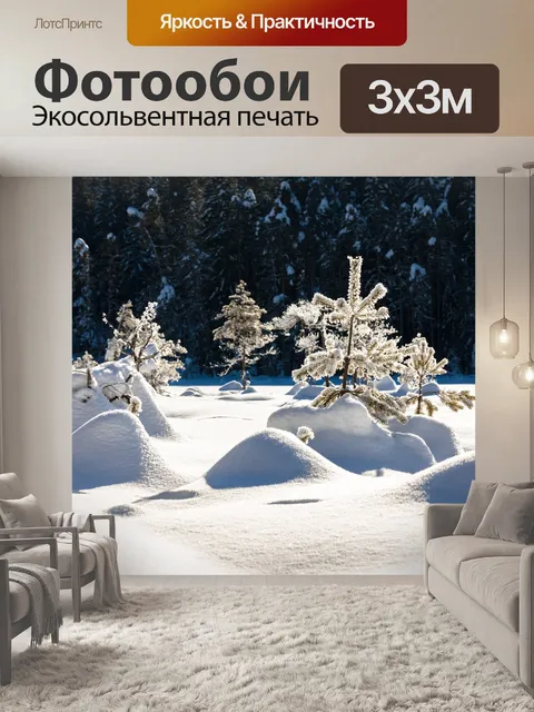 Фотообои Снег