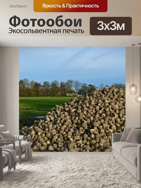 Фотообои Максимальная