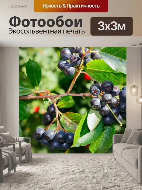 Фотообои Черная рябина