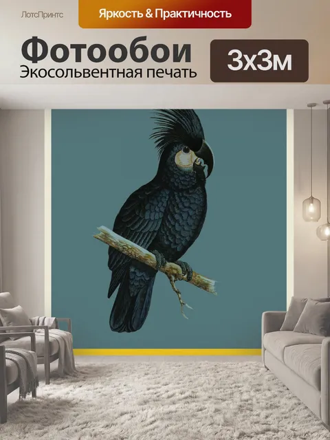 Фотообои Австралия Путешествие Плакат