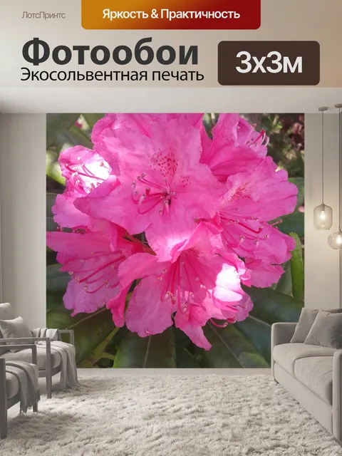 Фотообои Цветок