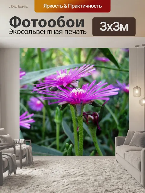 Фотообои розовые vygies