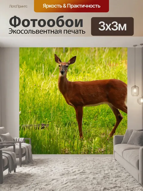 Фотообои Олень в лесу