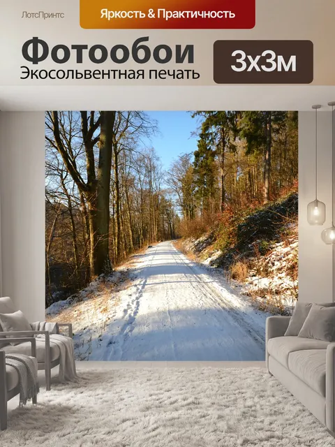 Фотообои Лес