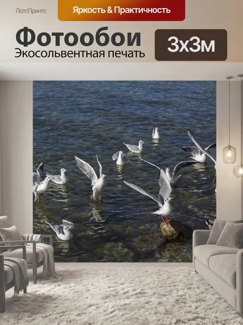 Фотообои Чайки