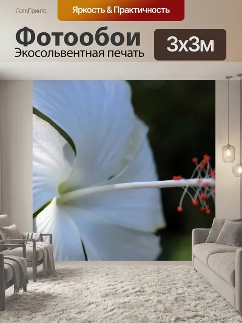 Фотообои Gumamela