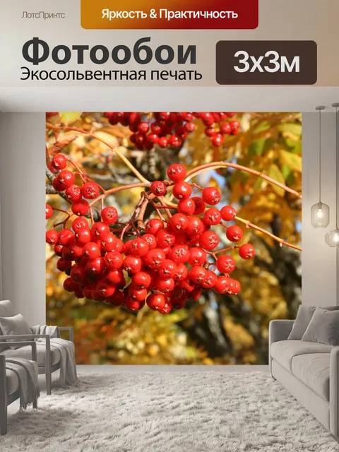 Фотообои Ягоды рябины