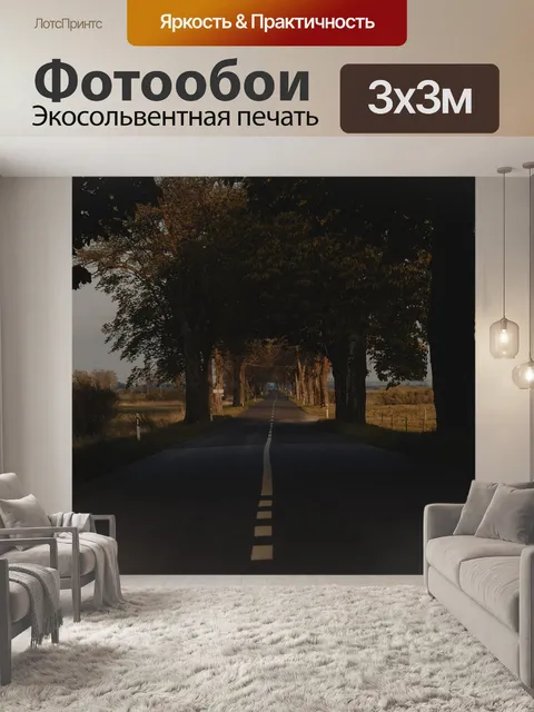 Фотообои Дорога