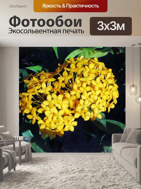 Фотообои Цветок
