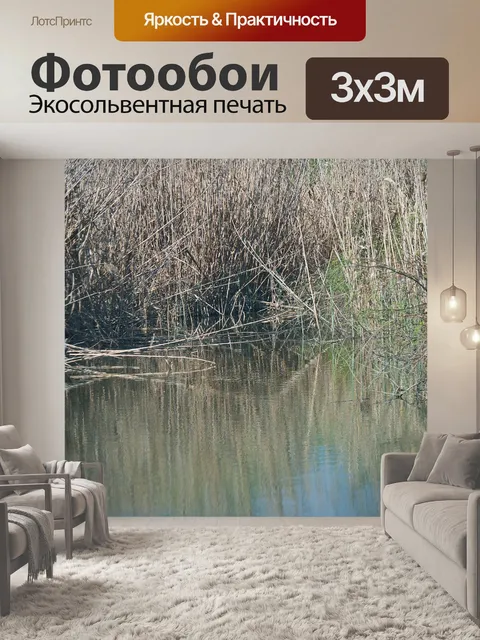 Фотообои Тростник в воде