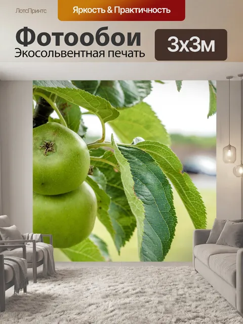 Фотообои Зеленые яблоки