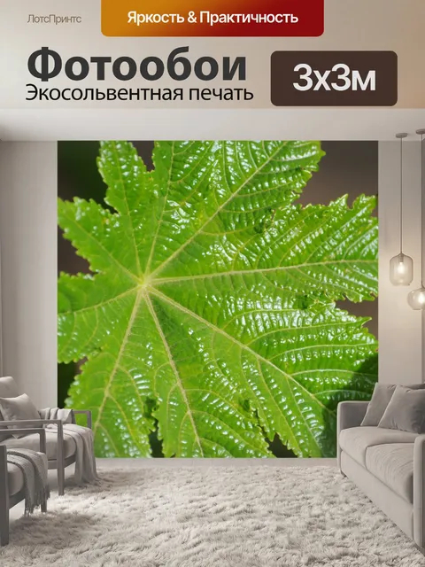 Фотообои Green Leaf