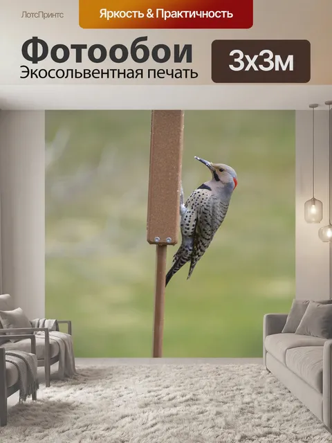 Фотообои Мерцание