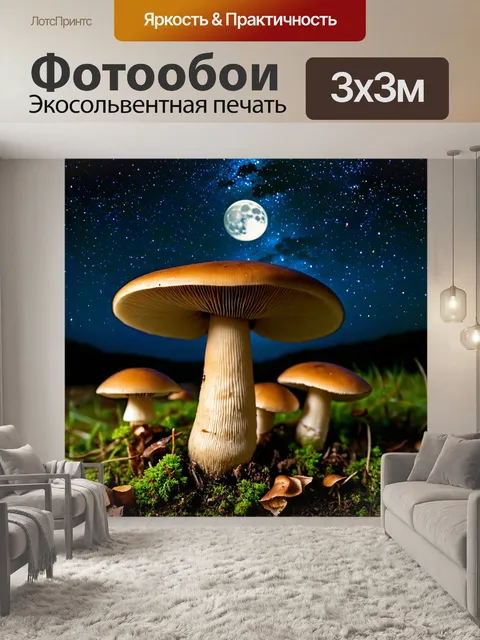 Фотообои грибы грибное место под звездным небом