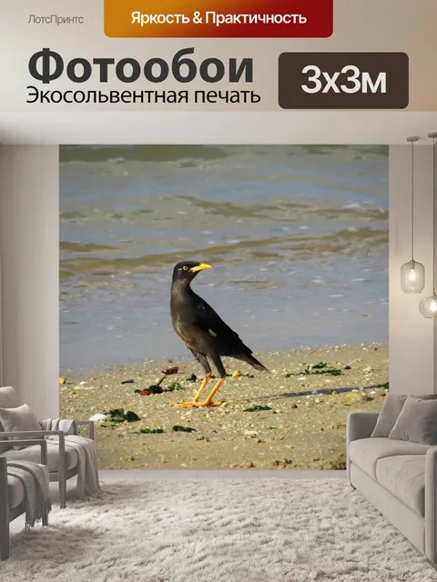 Фотообои Минах