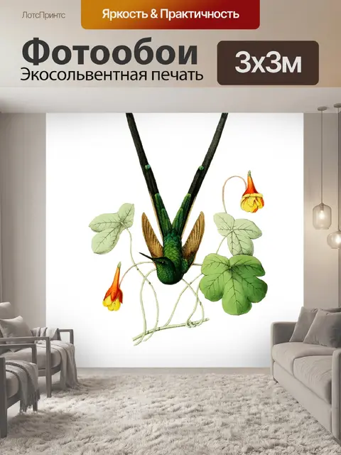 Фотообои Колибри Винтажное Искусство