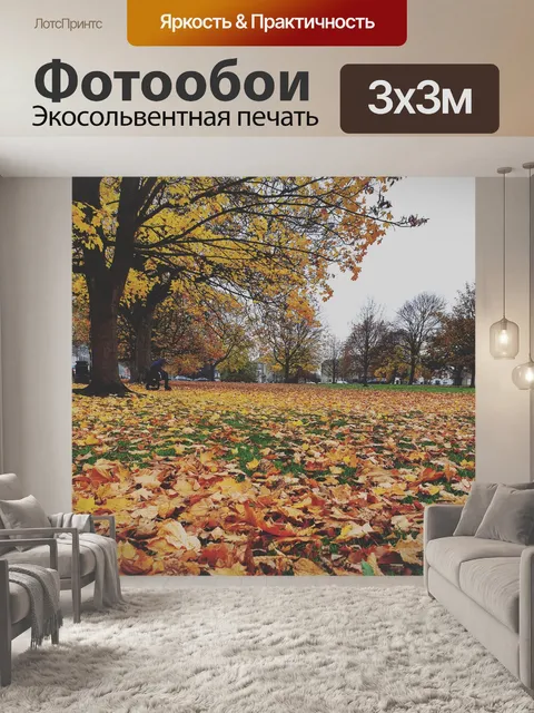 Фотообои Осенние сезоны