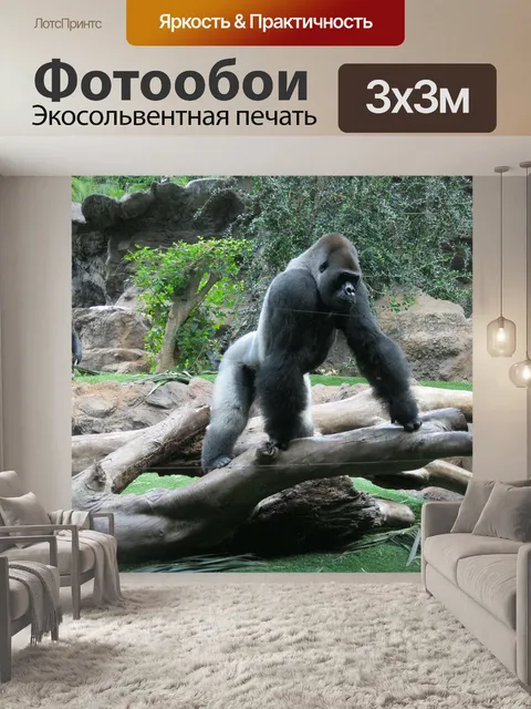 Фотообои Горилла