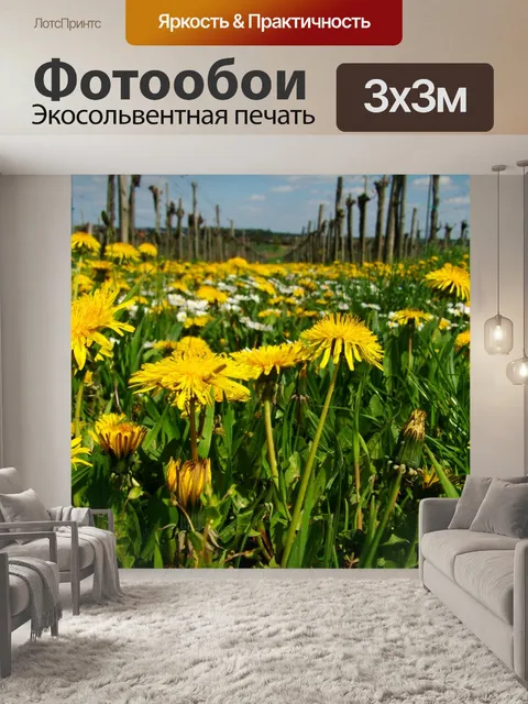 Фотообои Халат одуванчик