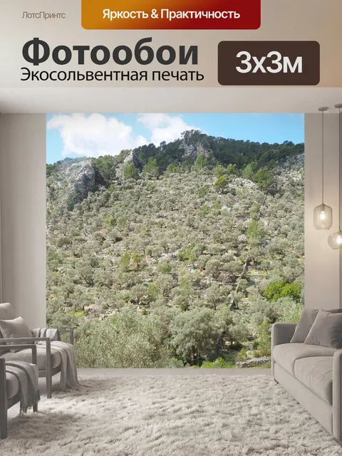 Фотообои Оливковая роща