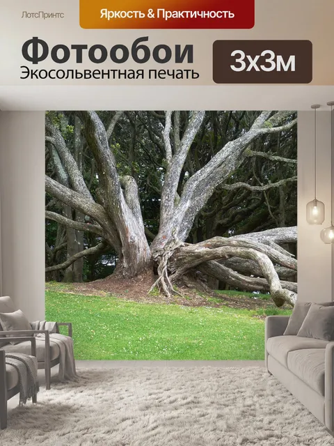 Фотообои Дерево