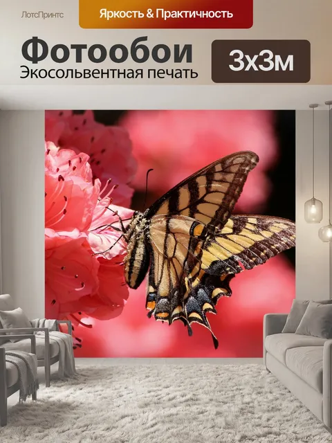 Фотообои Бабочка