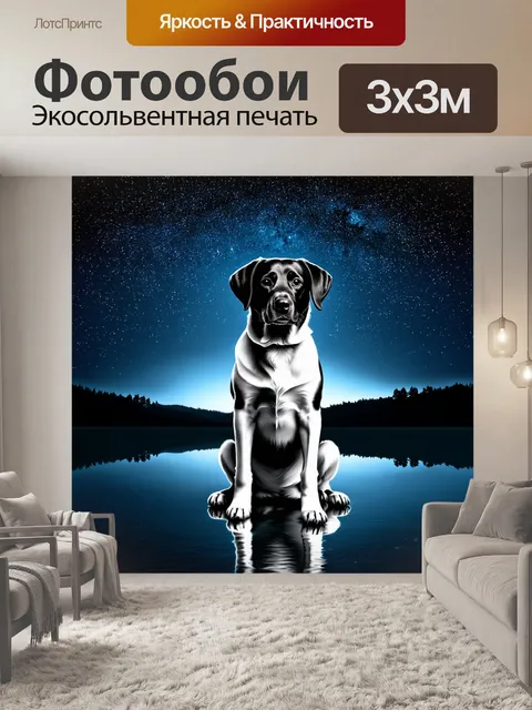 Фотообои лабрадор с черной и белой шерстью спокойно смотрит на звёздное небо, сидя на фоне зеркальной поверхности озера
