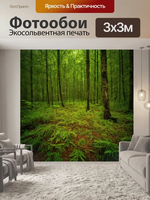 Фотообои лес с растительностью, создающей естественные узоры на земле