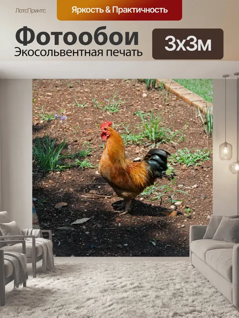 Фотообои красный петух в саду