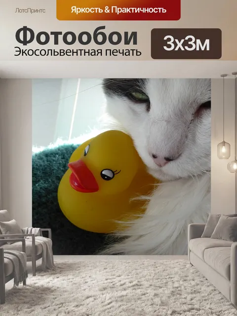 Фотообои Резиновые уточки и кошка