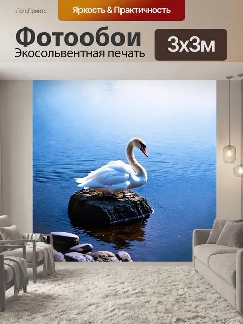 Фотообои лебедь, величественно встав на утренний кончик скалы, аккуратно смотрит на водную гладь, где раскинулись…