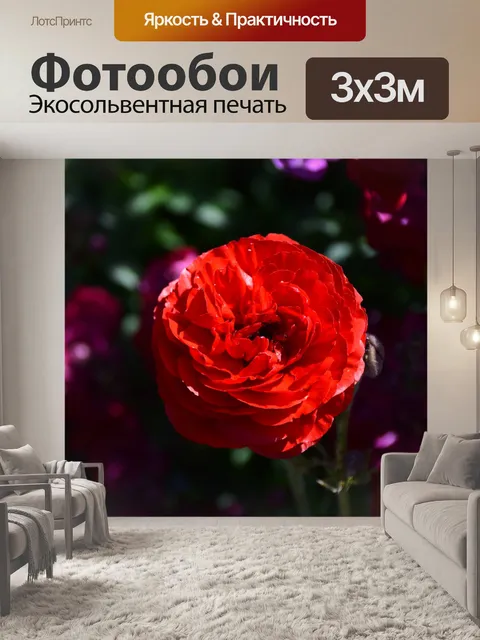 Фотообои красный цвет лютик
