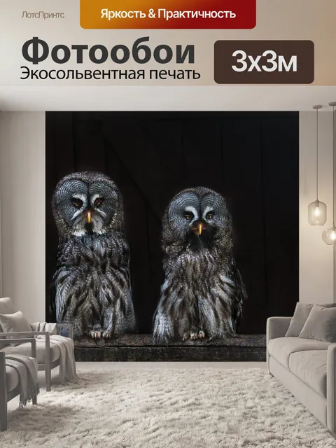Фотообои Совы