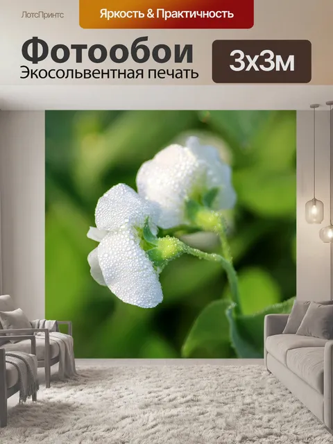 Фотообои Белые цветки