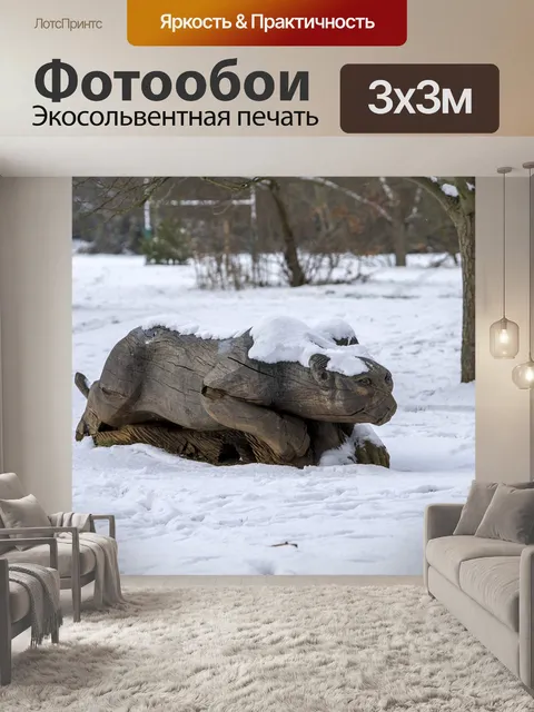 Фотообои Снег