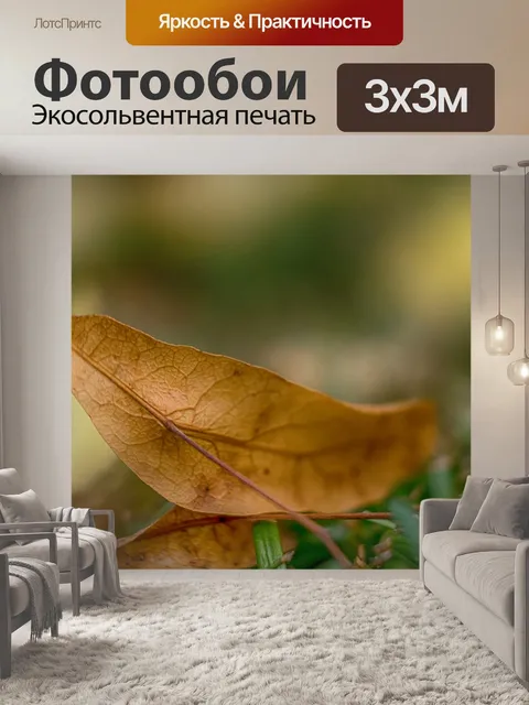 Фотообои Макросъемка