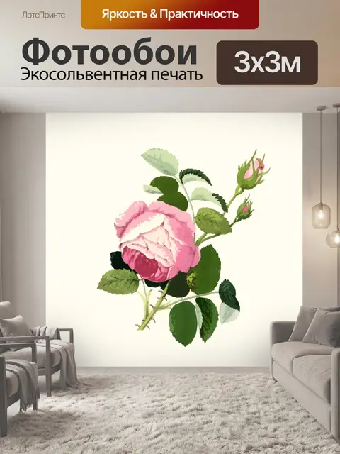 Фотообои Розовые розы Clipart