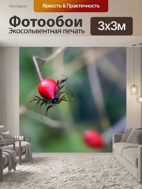 Фотообои Ягода