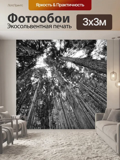 Фотообои Лес